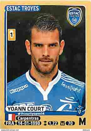 Stickers panini france foot - panini,