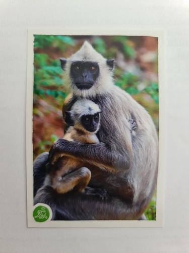 Image sticker autocollant