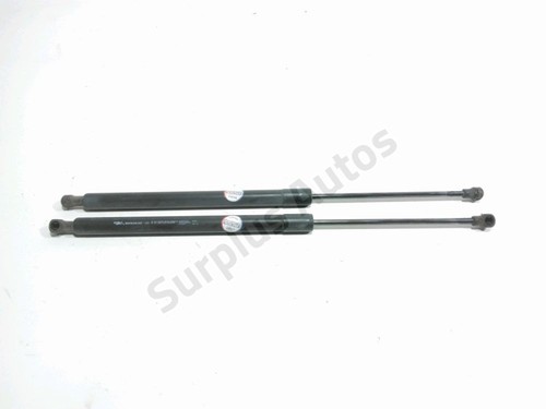 Verin hayon 904500004r renault - 904500004r,