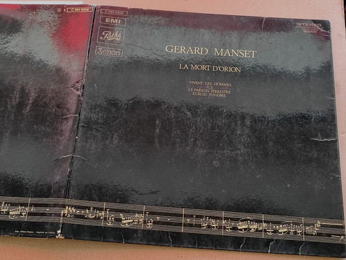 Gérard manset la mort - –,
