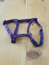 Harnais pour Petit Chien TBE