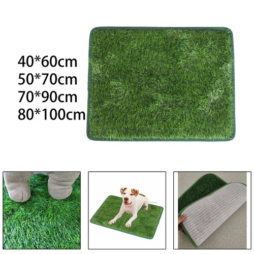 Tapis apprentissage la - d'apprentissage, de