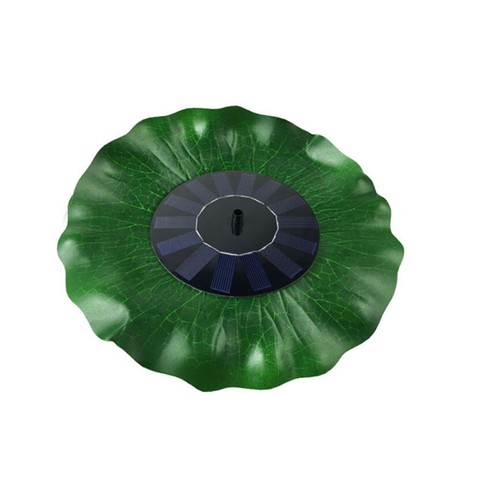 Feuille de lotus pompe - w,