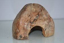 Vivarium 100% Naturel Noix de Coco Cacher & Abri Sec Sécurisé Taille Environ