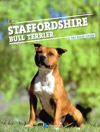 Staffordshire bull terrier - le,