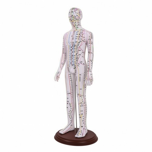 Mannequin acupuncture - mannequin, d’acupuncture