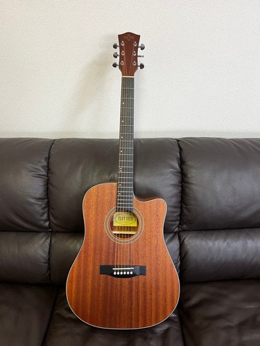 Guitare acoustique playtech - acoustique,
