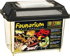 Terrarium Reptile Amphibien