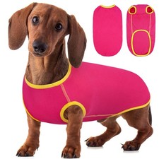Pull Chien Teckel, Sweat