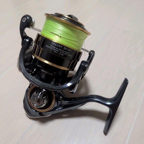 Daiwa theory 3012h - 17,
