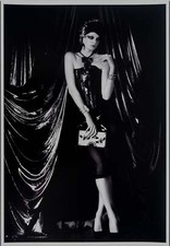 Irina IONESCO : Soirée