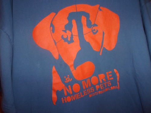 Dog more homeless pets blue - dog,