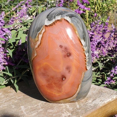 Polychrome jasper gray pastel - gray,