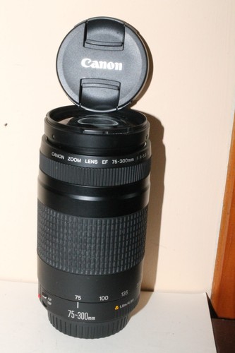 Zoom canon 300 mm - ef, ii