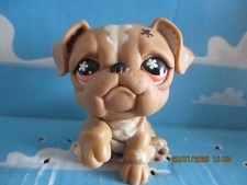 PETSHOP CHIEN BOULEDOGUE