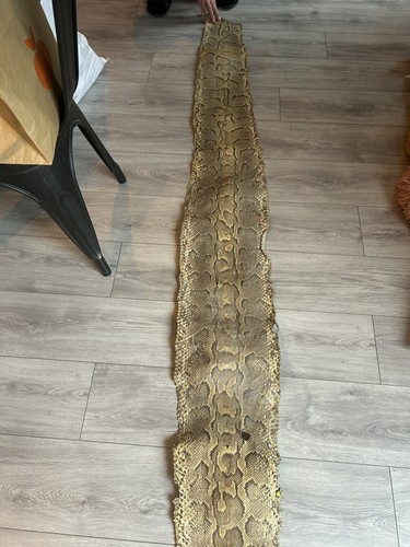 Peau serpent python - python,
