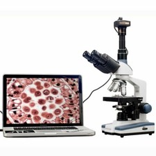 AmScope Microscope