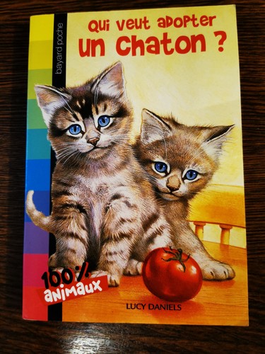 Qui veut adopter chaton - qui,