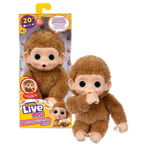 Little live pets mon - mon, petit