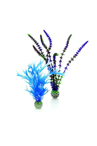 Jeu plantes bleu et - m,