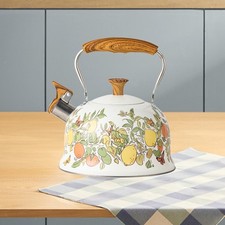 Bouilloire Sifflante Puissante