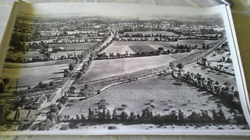 Photo lapie aerienne 45 x - photo,
