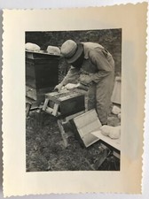 PHOTO ANCIENNE - VINTAGE SNAPSHOT - APICULTURE RUCHE ABEILLE MIEL - BEEKEEPING 2