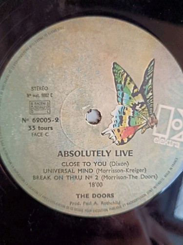 The doors absolutely - live, lp