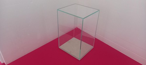 Vitrine cloche protection - vitrine,