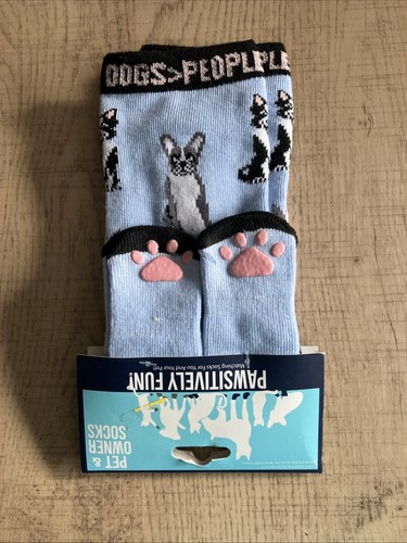Boston terrier pet and owner - pet,