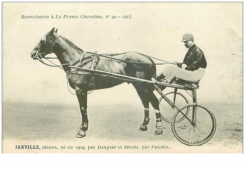 hippisme.n°35953.janville.191