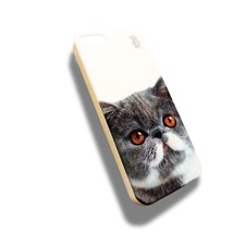 Coque rigide chat - rigide,
