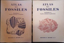 Atlas des fossiles- Fascicule 1 ( Fossiles primaires et triasiques) et 3 (