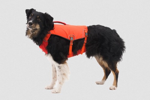 Gilet sauvetage pour chien - de,