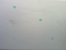 Porte avant droit OPEL ASTRA G 13116450