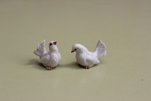 Couple oiseaux colombes en - couple,