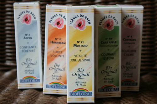 Fleurs bach bio - bach,