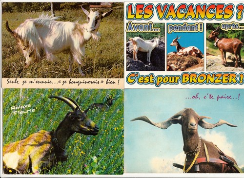 Lot cartes postales - lot,