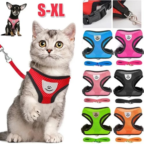 Harnais laisse pour chien chat - harnais,