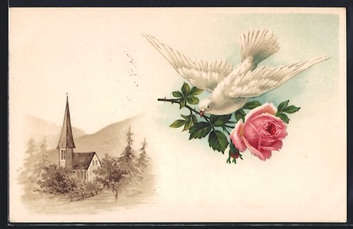 Carte postale colombe blanche - postale,