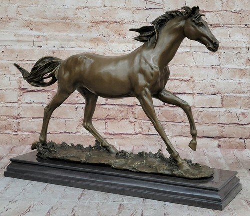 Galloping stallion horse - stallion,