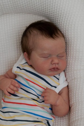 Lifelike reborn baby dolls - reborn,