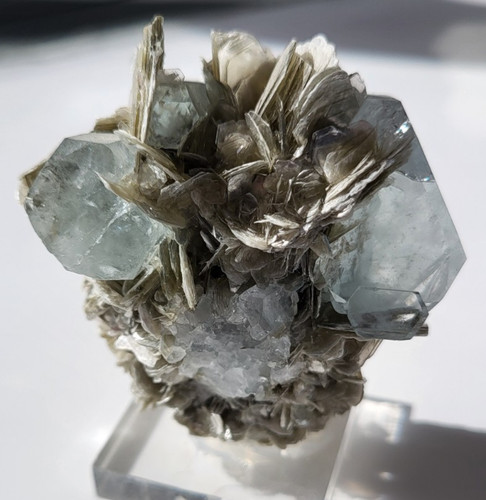Aigue marine sur muscovite - muscovite,