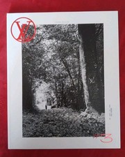 LOUIS VUITTON the book N° 3