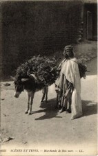 CPA AK ALGERIA Scenes et Types