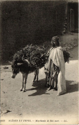 Cpa algeria scenes types - ak, et
