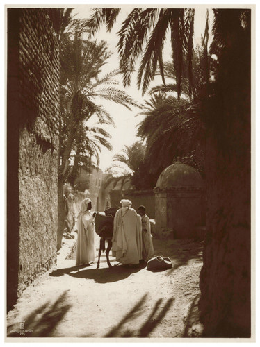 Lehnert landrock algérie - landrock,,