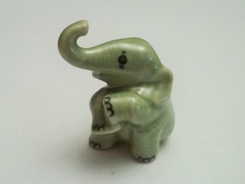 Magnifique éléphant - magnifique,