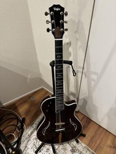 Electric Acoustic Guitar