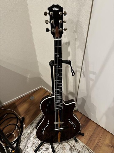Electric acoustic guitar - acoustic,
